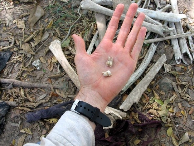 the tooth of victims are scattered on the ground