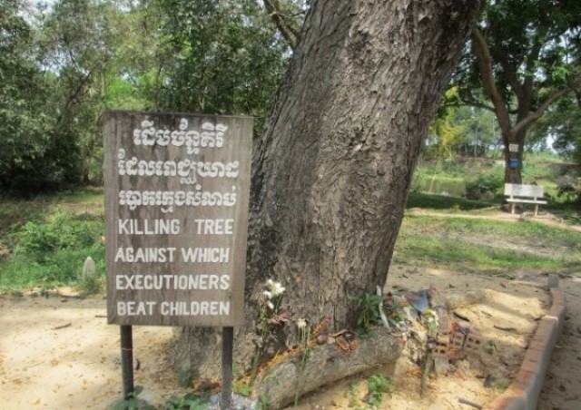 the tree that Pol Pot army used to kill Khmer children