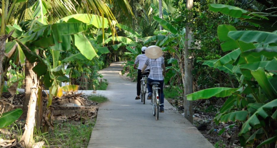 Riding around the village to reach to the lush space of pomelo gardens