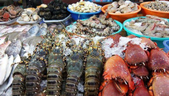 Such fresh and tasty lobsters you can see in the local market.