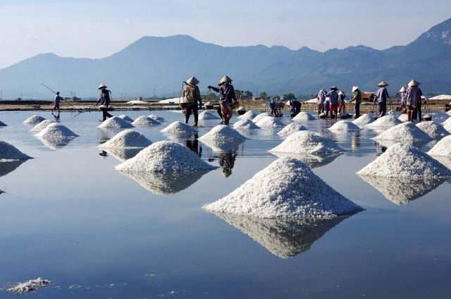 Salt field in Van Phong Bay